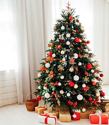 Der Weihnachtsbaum: Klassisch oder modern?